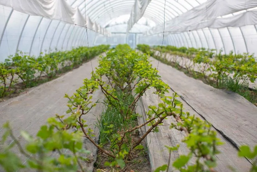 Для сельского хозяйства