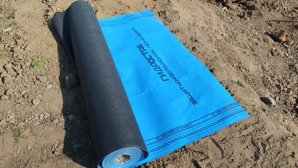 WhatsApp Image 2024-09-27 at 11.17.39.jpeg